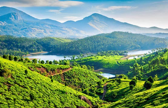 Mesmerizing Kerala Tour